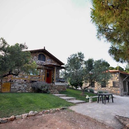 Villa Kladi House Renovated 2023 Nikiti  Exterior foto