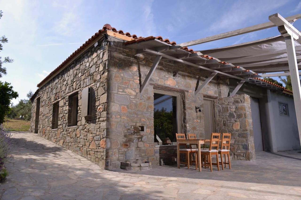 Villa Kladi House Renovated 2023 Nikiti  Exterior foto